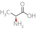 L-alanine structure