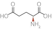 L-glutamic acid structure