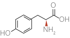 L-tyrosine structure